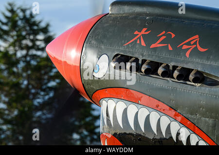 Curtiss P-40 Warhawk à ailes au-dessus de l'Aérodrome de capot, airshow Wairarapa, Masterton, Nouvelle-Zélande. Le nez avec Flying Tigers marquages, bouche, oeil de requin Banque D'Images