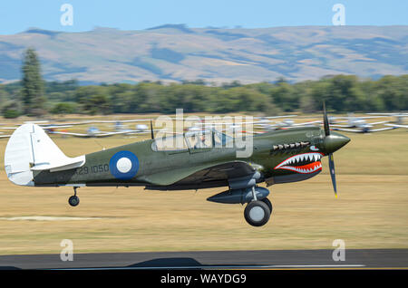 Curtiss P-40 Warhawk à ailes au-dessus de l'Aérodrome de capot, airshow Wairarapa, Masterton, Nouvelle-Zélande. Les dessins de nez, bouche requin artwork. Dents Banque D'Images