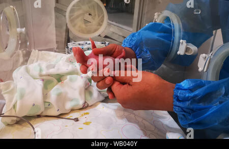 (190823) -- Chengdu, 23 août 2019 (Xinhua) -- Photo prise le 21 août 2019 montre un nouveau-né à l'Hetaoping cub panda panda base de Wolong, dans le sud-ouest de la province chinoise du Sichuan. Une paire de jumeaux sont nés panda mâle aux deux parents captifs et sauvages dans le Sichuan Mardi, selon China Conservation and Research Center for the Giant Panda. Cao Cao, Panda 17, a donné naissance aux jumeaux. Sauvé de l'état sauvage en 2002, Cao Cao a grandi en captivité. Elle a été relâchée dans la nature en mars et se sont accouplés avec un panda sauvage en avril, que les scientifiques ont tenté d'accroître la diversité génétique des pandas en captivité, accordi Banque D'Images