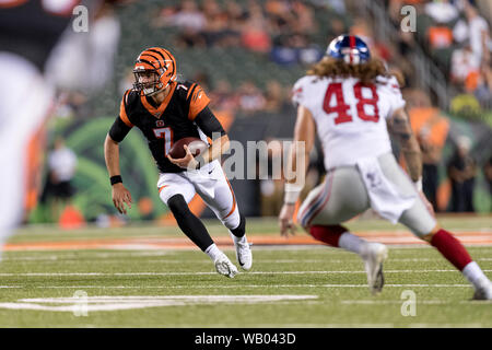 Cincinnati, États-Unis. Août 22, 2019. 22 août 2019 - Cincinnati Bengals quarterback Jake Dolegala (7) brouille durant la pré-saison de football américain NFL action de jeu entre les Giants de New York et les Cincinnati Bengals au Stade Paul Brown à Cincinnati, OH. Adam Lacy/CSM Crédit : Cal Sport Media/Alamy Live News Banque D'Images