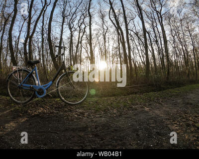 Vélo bleu et noir garé dans la forêt et le soleil à travers les arbres Banque D'Images