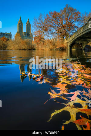 Pont Bow romantique sur le lac de Central Park, à New York à l'automne avec les immeubles de Manhattan en arrière-plan et de feuilles mortes dans l'avant-plan Banque D'Images