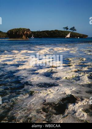 Plan vertical de la mer de Watamu et un bateau dans le distance avec une falaise et un ciel bleu en arrière-plan Banque D'Images