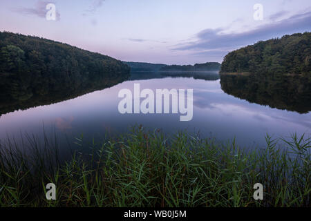 Soirée paisible au bord du lac Ukleisee au milieu de forêt avec en premier plan, reed, Eutin Schleswig-Holstein Banque D'Images