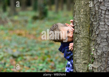 Un petit endroit secret. Petit garçon se cacher derrière des arbres. Petit garçon jouer à cache-cache dans les bois. C'est mon endroit secret. Banque D'Images