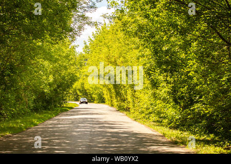 Voiture solitaire sous le couvert de feuillage vert des arbres à feuilles caduques, lumineuse, ensoleillée journée d'été, paysage horizontal, rural road Banque D'Images