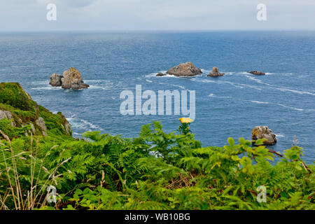 Un chemin côtier avec écrin de verdure sur la côte atlantique de Bretagne appelé Pointe du Raz Banque D'Images