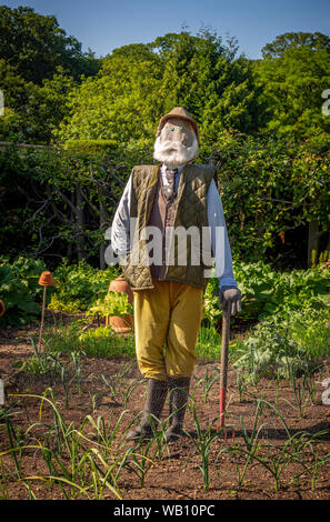 En épouvantail jardin cuisine légumes à Nunnington Hall, North Yorkshire, UK. Banque D'Images