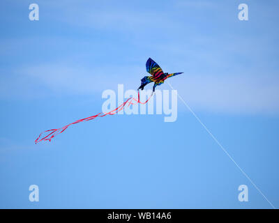 Sheerness, Kent, UK. 23 août, 2019. Météo France : une journée ensoleillée et chaude de Sheerness, Kent. Credit : James Bell/Alamy Live News Banque D'Images