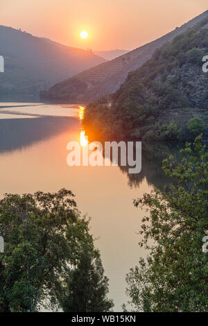 Le fleuve Douro au coucher du soleil entre Folgosa et Pinhao. Dans la région viticole du Haut-Douro, Nord du Portugal Banque D'Images
