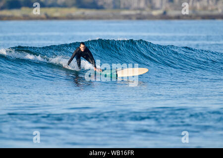 Les surfeurs profiter du matin, les vagues de la plage Cherry Hill, Nouvelle-Écosse, Canada Banque D'Images