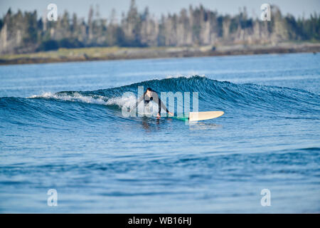 Les surfeurs profiter du matin, les vagues de la plage Cherry Hill, Nouvelle-Écosse, Canada Banque D'Images