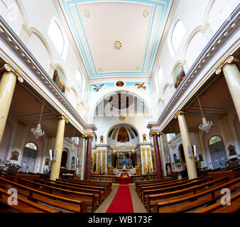 Londres, Angleterre, Royaume-Uni. St Peter's Italian Church (Église Catholique) Clerkenwell Road, Holborn. L'intérieurapt Banque D'Images