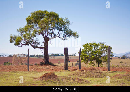 Mound, picotements, paysage, Brasópolis, Minas Gerais, Brésil Banque D'Images