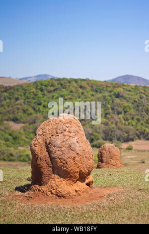 Dans la campagne, Brasópolis, Minas Gerais, Brésil Banque D'Images