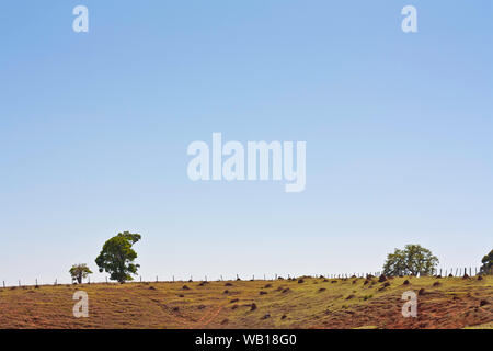 Mound, picotements, paysage, Brasópolis, Minas Gerais, Brésil Banque D'Images