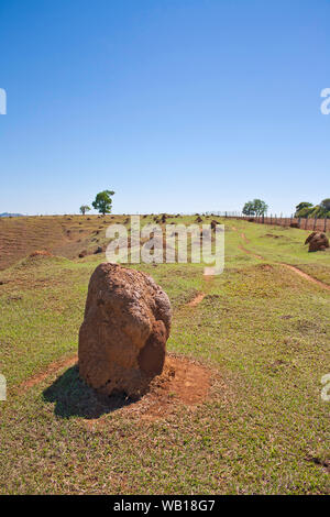 Dans la campagne, Brasópolis, Minas Gerais, Brésil Banque D'Images