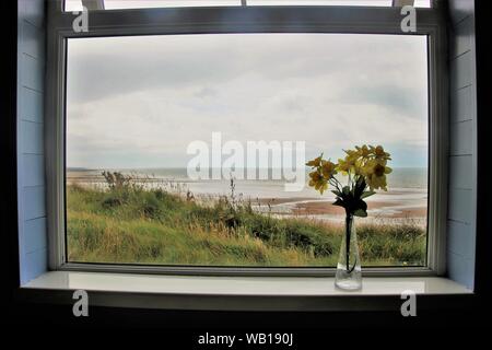 Vivent encore avec des fleurs et de la mer d'Irlande. Vue à travers une fenêtre sur la plage de St Bees. Sur la côte ouest de l'Angleterre, près de Lake District. Nous nord Banque D'Images