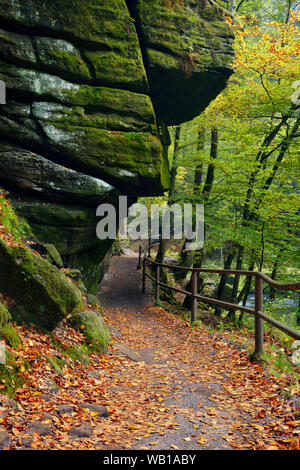 La Tchéquie, la Suisse tchèque, Ticha Souteska, sentier de randonnée dans le Edmundsklamm Banque D'Images