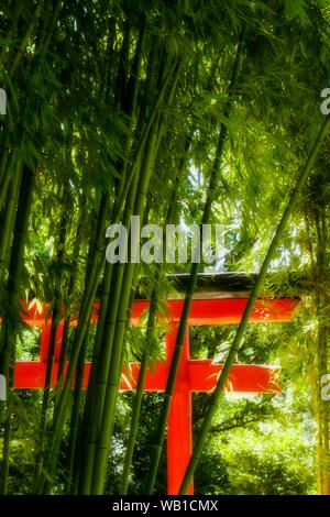 Torii rouge et forêt de bambou, la Bambouseraie - Prafrance Bamboo park,, Anduze, Gard, France Banque D'Images