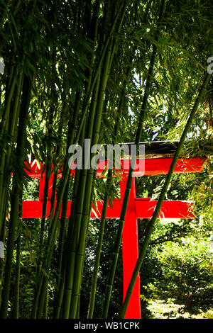 Torii rouge et forêt de bambou, la Bambouseraie - Prafrance Bamboo park,, Anduze, Gard, France Banque D'Images