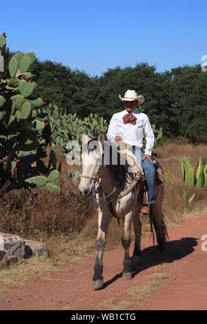 Dans un ranch mexicain Wranglers Banque D'Images