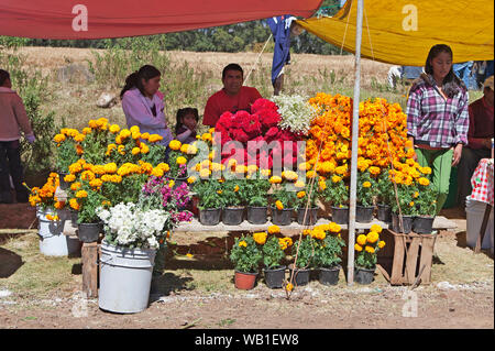 Le Mexique est 'Dia De Los Muertes" - le jour de l'année où le Mexicain "célébrer" les morts par apporter des fleurs et de la nourriture sur les tombes de leurs proches. Banque D'Images