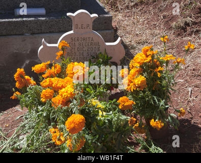 Le Mexique est 'Dia De Los Muertes" - le jour de l'année où le Mexicain "célébrer" les morts par apporter des fleurs et de la nourriture sur les tombes de leurs proches. Banque D'Images