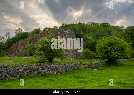 La carrière désaffectée au fond de velours qui fait partie de la Gorge de Cheddar complexe dans les collines de Mendip, Somerset, Angleterre. Banque D'Images