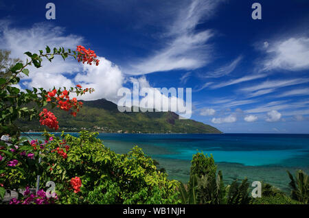 Pittoresque de l'île de Mahé, Seychelles, océan Indien Banque D'Images