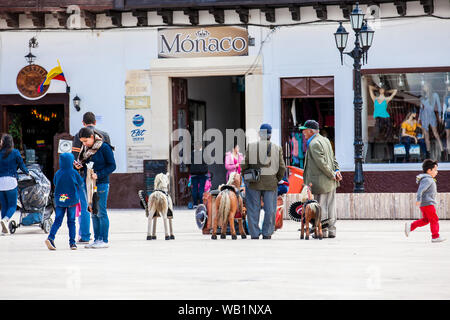 TUNJA, COLOMBIE - AOÛT, 2019 : photographe traditionnel à la place Bolivar dans le centre-ville de Tunja Banque D'Images