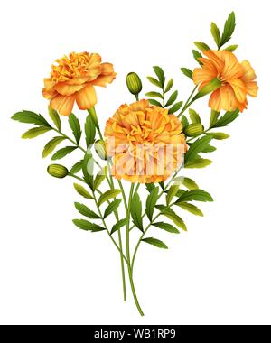 Souci Vector Illustration de Vecteur