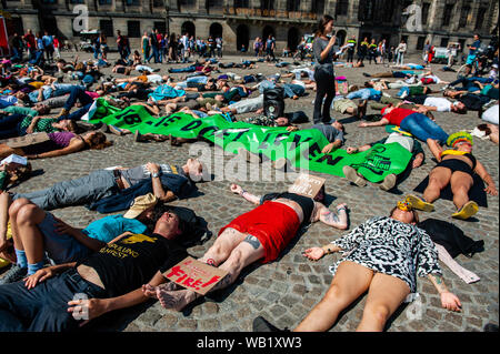 Un groupe de militants se coucher sur le sol comme ils prennent part au cours de la manifestation.L'extinction des militants du groupe de rébellion à Amsterdam a organisé une manifestation de solidarité avec les protecteurs de la forêt tropicale amazonienne et militantes à l'échelle du monde. Des centaines de personnes rassemblées autour de la place du Dam à démontrer leur appui. Banque D'Images