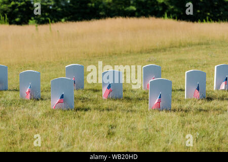 Pierres tombales militaires sur l'herbe verte près de american flags in cimetière Banque D'Images