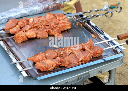 Brochettes de porc mariné appétissant préparé pour la cuisson. Barbecue Cuisson en sauce épicée Banque D'Images