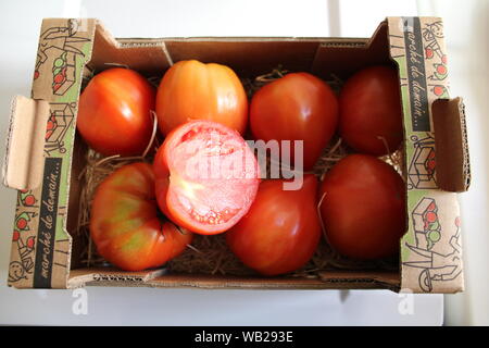 Tomates boeuf dans une caisse, fraîchement cueilli Banque D'Images