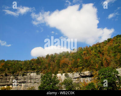 Bluff et les arbres à proximité de Ponca, AR Banque D'Images