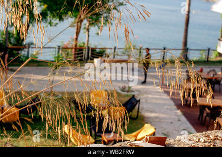 Sacs et fauteuils tables sur l'herbe dans un café. La mer en arrière-plan. L'intérieur de l'été cafe. Meuble d'été dans un restaurant Banque D'Images