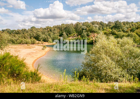 Bawsey Country Park, régénérés carrières de sable, à l'extérieur de King's Lynn dans le Norfolk. Banque D'Images