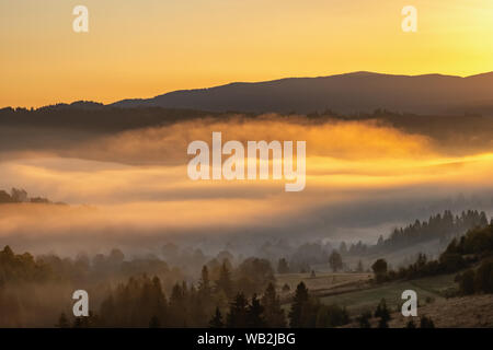 Beau paysage d'automne au lever du soleil g dans les Carpates, Ukraine Banque D'Images