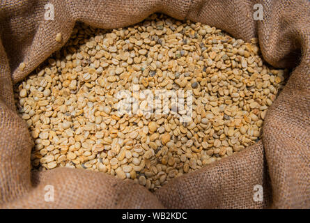 Un sac de jute avec flocons de grains de café de grande qualité dans un domaine près de la production du café le volcan Poas, San Jose, Costa Rica. Banque D'Images