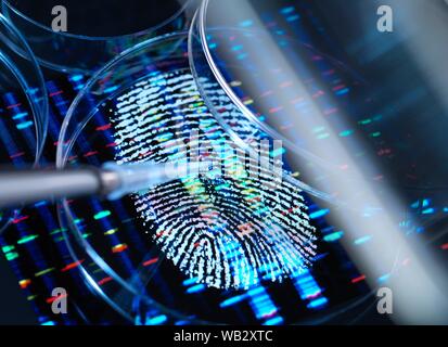 Conceptual image illustrant la recherche génétique. Un doigt humain imprimer avec un ADN (acide désoxyribonucléique) sous un profil de l'échantillon à la pipette dans une boîte de Petri. Banque D'Images