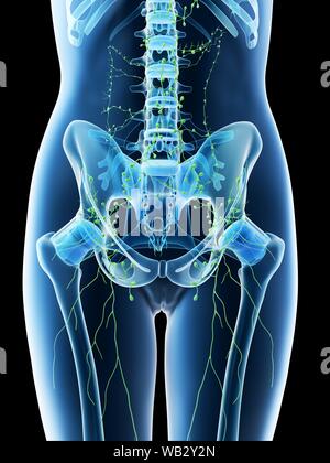 Les ganglions abdominaux, illustration de l'ordinateur. Banque D'Images