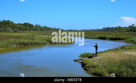 La pêche sur le ruisseau de palourdes, Jekyll Island, Géorgie Banque D'Images