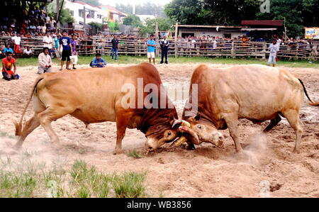 La tauromachie à Hat Yai, Thaïlande du sud Banque D'Images