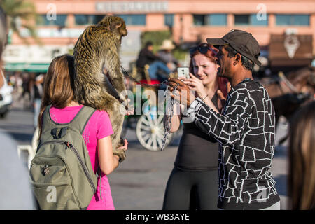 Marrakech, Maroc - 12 mars 2019 : les touristes de prendre des photos avec un singe sur une chaîne à Marrakech, Maroc. Banque D'Images