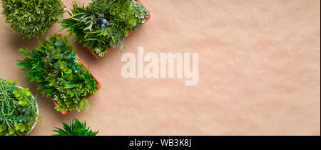 Plantes herbacées en pot sur du papier craft, de l'espace libre Banque D'Images