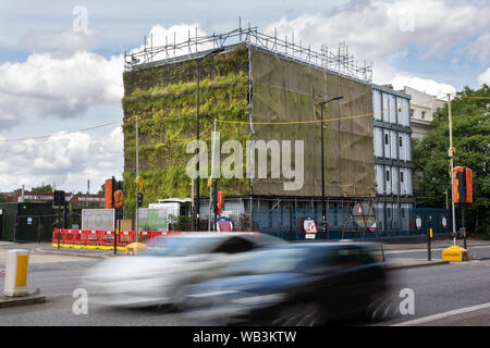 Vivre vert mur, Hampstead Road, Camden, London, UK Banque D'Images