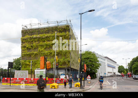 Vivre vert mur, Hampstead Road, Camden, London, UK Banque D'Images