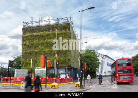 Vivre vert mur, Hampstead Road, Camden, London, UK Banque D'Images